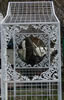 click on an image for a larger picture